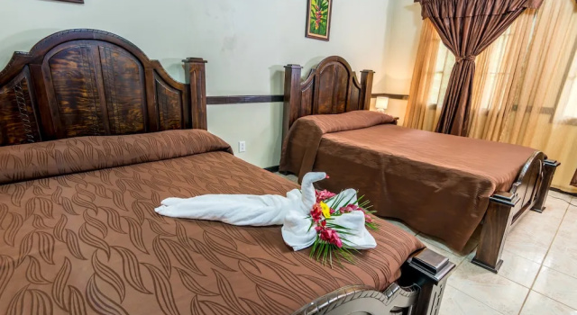 Номер Classic Ara Ambigua Lodge