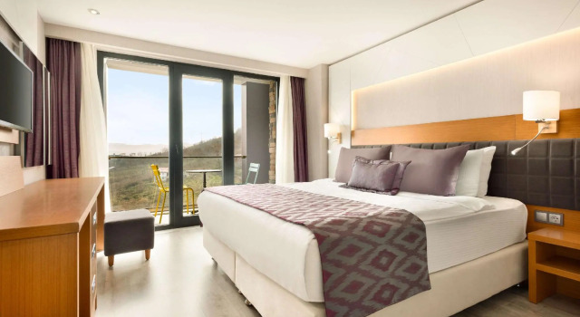 Двухместный номер Standard с видом на море Ramada By Wyndham Giresun Piraziz