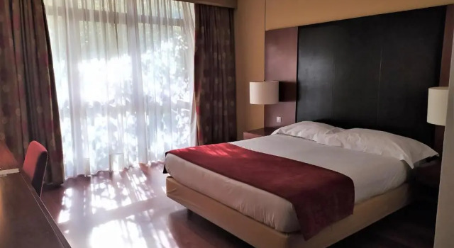 Двухместный номер Leziria Parque Hotel