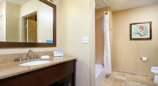 Четырёхместный люкс c 1 комнатой Hampton Inn & Suites Tucson Mall
