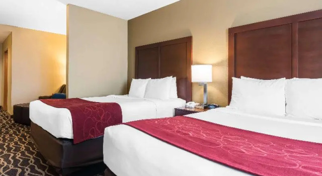 Номер Standard Comfort Suites Tampa Airport North