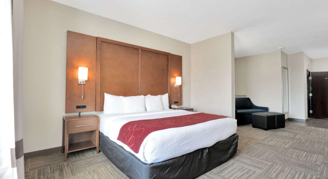 Двухместный люкс Comfort Suites University