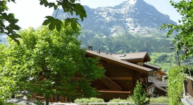 5-Star Griwarent Apartments, Забронировать Апартаменты/квартира Гриндельвальд Jungfrau, рядом с Горнолыжный подъемник Фирстбан