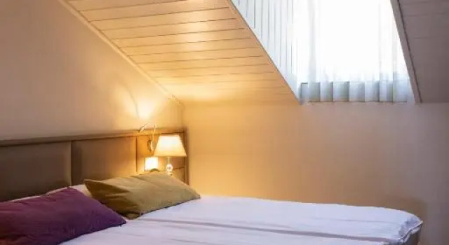 Двухместный номер Standard Hotel Alexandra
