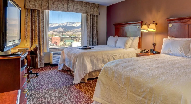 Четырёхместный номер Standard Hampton Inn & Suites Rifle