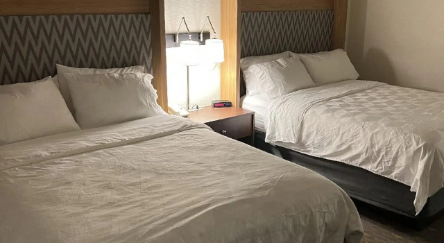 Четырёхместный номер Standard Wyndham Flint MI Grand Blanc Bishop Airport Conference Ct