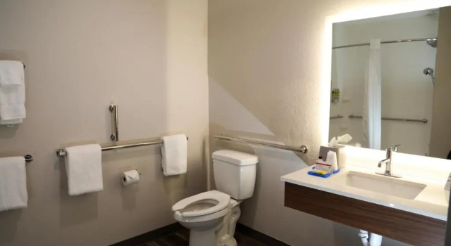 Двухместный номер Standard Holiday Inn Express & Suites - Wylie West by IHG