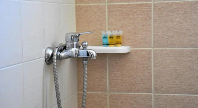 Трёхместный номер Standard с видом на сад Annis House