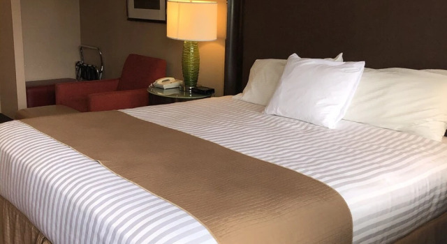 Travelodge Courtenay BC, Prenota Hotel Courtenay Mount Washington Alpine