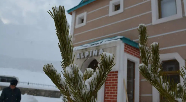 Alpina Konaklari, Prenota Hotel Zona sciistica di Sarikamis Sarikamis