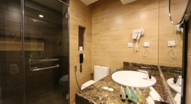 Lüks tek kişilik oda Haffa House