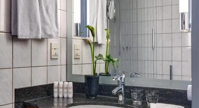 Двухместный номер Standard Radisson Blu Hotel Dortmund