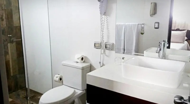Одноместный номер Standard Hotel Carrera