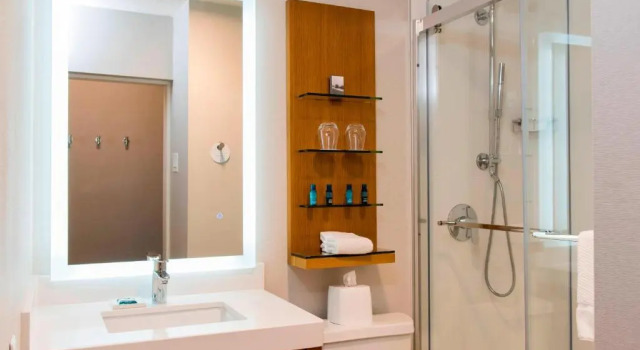 Люкс Sonesta Hotel Grand Rapids Airport