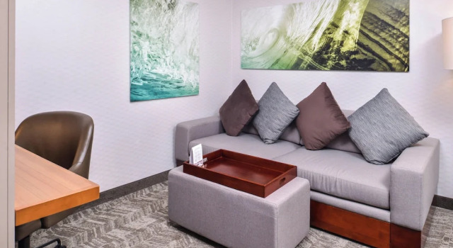Двухместная студия SpringHill Suites Temecula Valley Wine Country