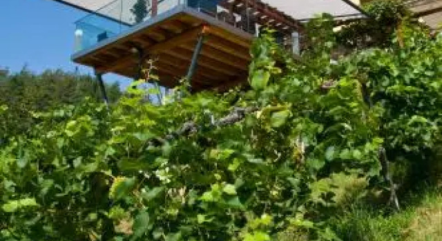 Weingut Hotel Restaurant Mahorko, Book Hotel Gamlitz Styrian Wine Road