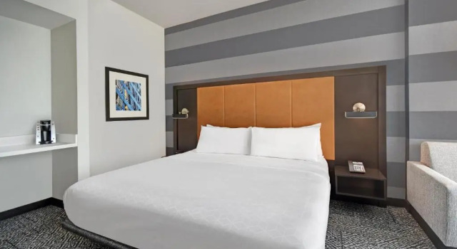 Двухместный номер Standard Holiday Inn Express - Houston - Galleria Area by IHG