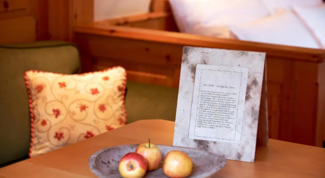Одноместный номер Standard Sport- und Genusshotel Silvretta