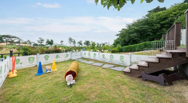 Номер Standard c 1 комнатой с балконом Gangneung Dangdangi Dog Pension Blue