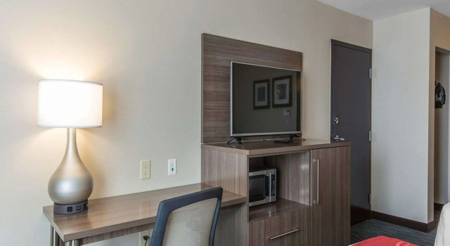 Четырёхместный номер Standard Comfort Inn & Suites Airport North