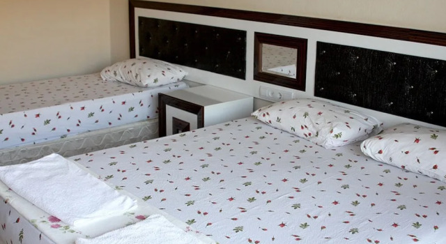 Трёхместный номер Standard с балконом Ozdemir Thermal Hotel
