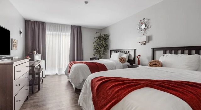 Restauparc Motel, Varaa Motelli  