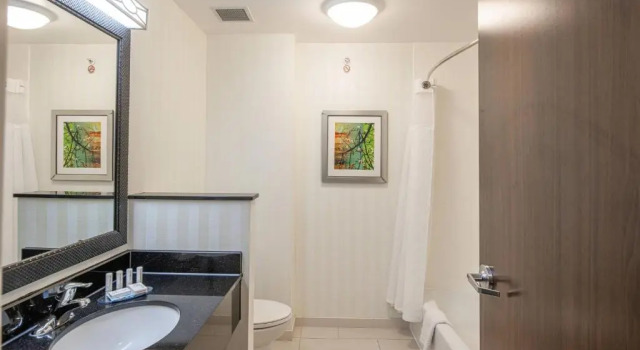 Двухместная студия Fairfield Inn & Suites by Marriott New Braunfels