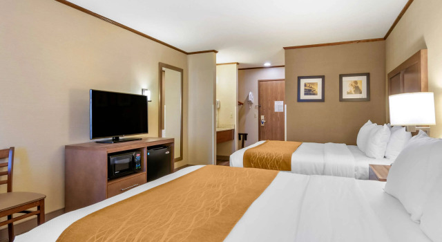 Четырёхместный номер Standard Comfort Inn Sedalia Station