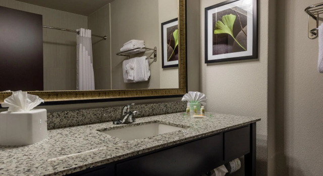 Номер Standard Holiday Inn Austin Airport by IHG