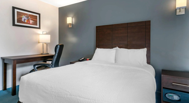 Standardní Dvoulůžkový s manželskou postelí pokoj Hotel Elegant