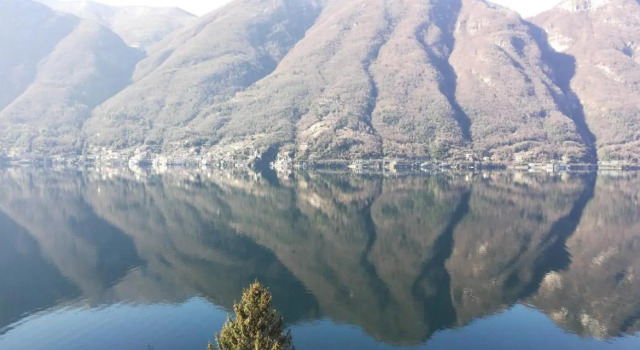 Giardino sul lago, La Vigna