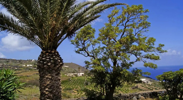 Апартаменты I Dammusi di Punta Karace