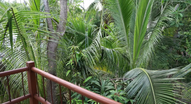 Номер Economy Solez Zihuatanejo