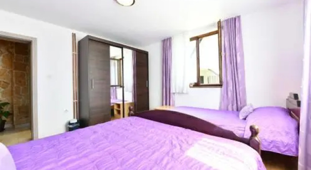 Apartment Mlađen