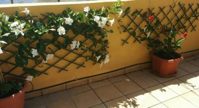 431 - Edif Aguamarina - Vacation Rental Home in the coast line of Golf del Sur, Забронировать Отель Отели Сан-Мигель-де-Абона с парковкой, рядом с Playa Amarilla, Парковка