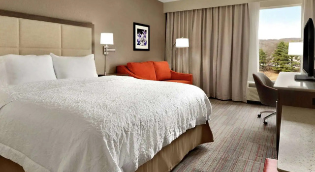 Номер Deluxe Hampton Inn Denville-Rockaway-Parsippany