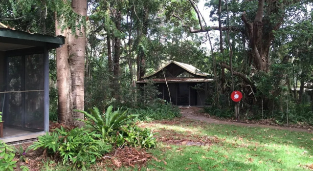 Номер Standard Byron Bay Rainforest Resort