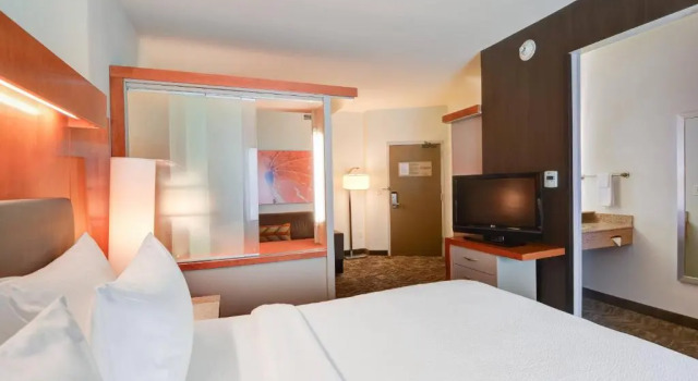 Студия SpringHill Suites Shreveport-Bossier City/Louisiana Downs