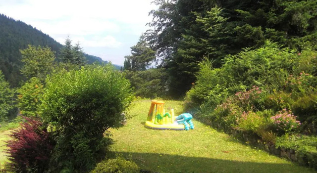 Haus Schwarzwaldblick, Reserva ahora Hostal o pensión Hoteles en Baden-Wurtemberg con desayuno, Desayunos