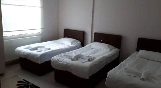 Номер Classic Di̇ri̇li̇ş Banarya Pansi̇yon