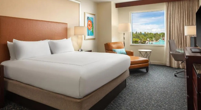 Doppel Zimmer Hilton Orlando