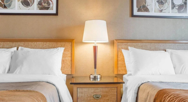 Четырёхместный номер Standard Цокольный этаж Comfort Inn