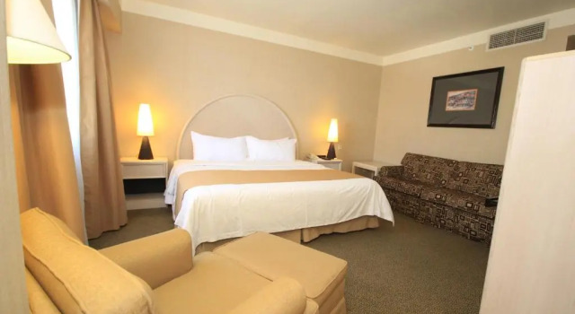 Номер Standard Holiday Inn Leon - Poliforum by IHG