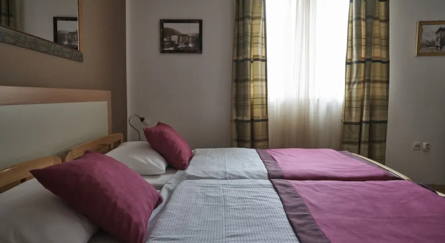 Двухместный номер Comfort Pansion Rose