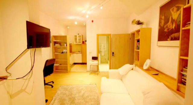 Studio Park View Bucharest