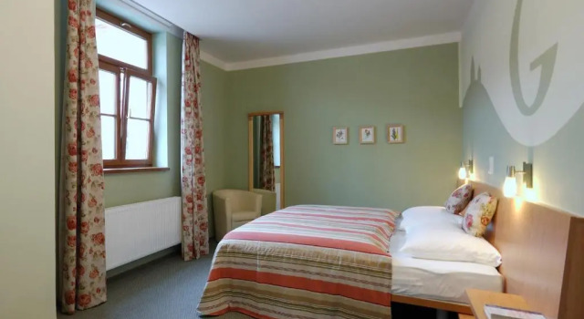 Одноместный номер Deluxe Hotel Galant Mikulov
