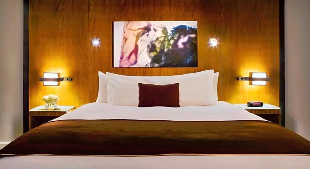 Двухместный Mobility accessible номер Luxury Pullman Miami Airport