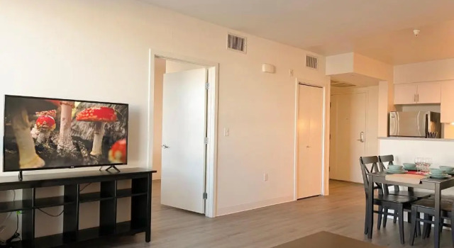 Spacious Entire Apt w Parking in Arts District DTLA B5