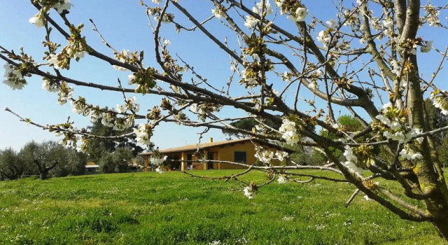 Шале с 2 комнатами Casa Vacanze Vigna di Valle