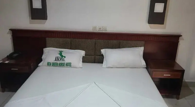 Номер Deluxe New Green Horse Hotel